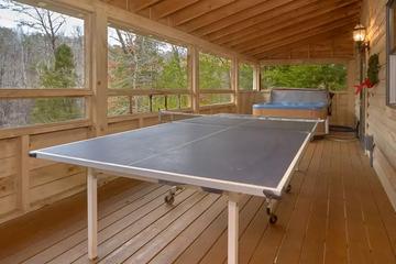 When is the last time you got to enjoy ping pong?